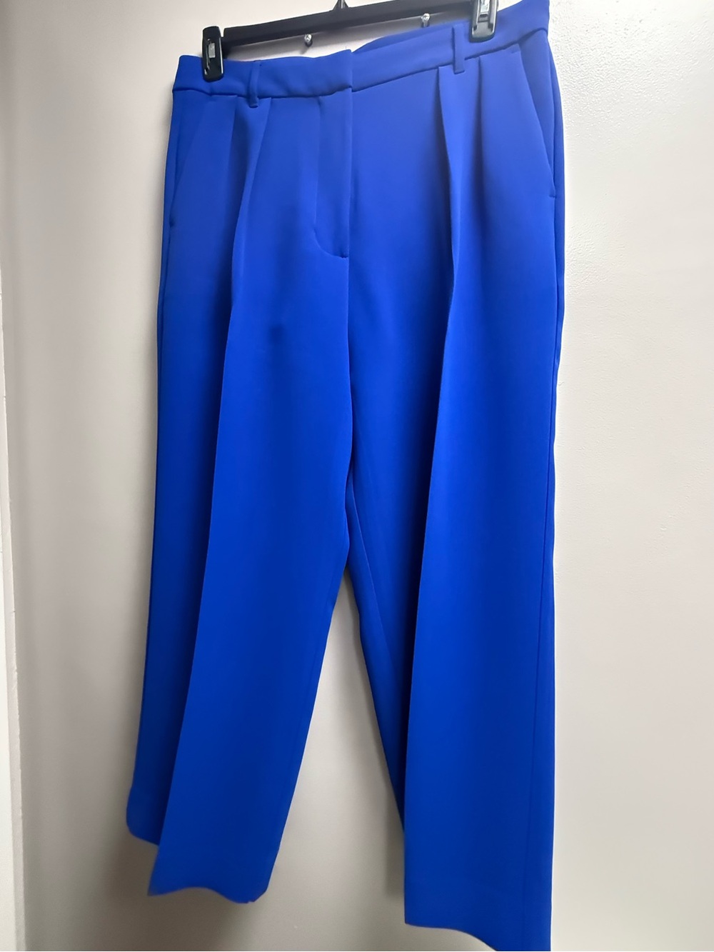 2/$45 on $30 Pants. NWOT Banana Republic Pleated Wide-Leg Royal Blue Pants 12P